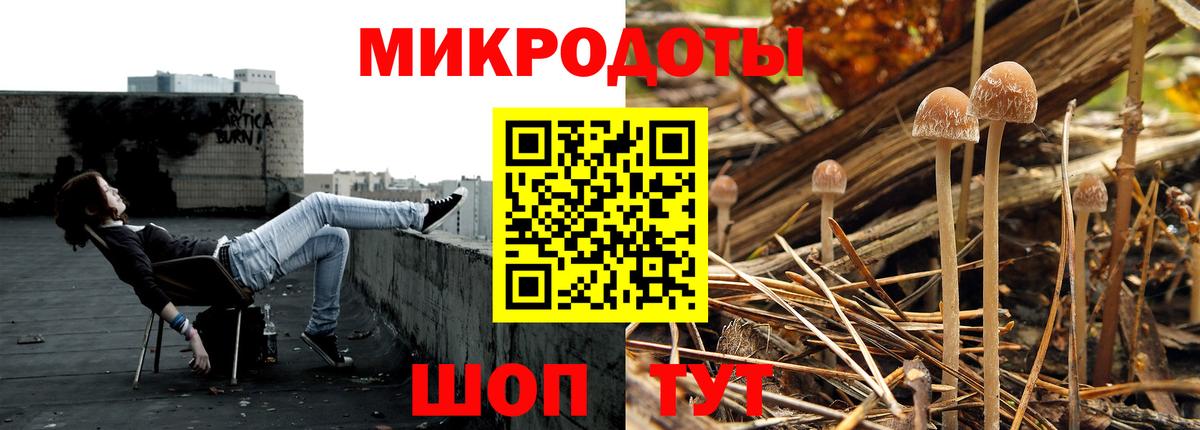Галлюциногенные грибы Psilocybine cubensis Троицк